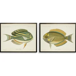 Kirkland's Home Framed Art-Acanthurus Fish Framed Art Prints, Set Of 2