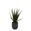 Kirkland's Home Arrangements & Greenery-Agave Arrangement In Gray Decorative Pot