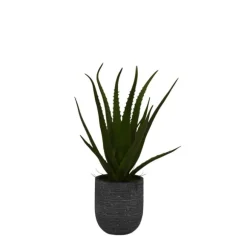 Kirkland's Home Arrangements & Greenery-Agave Arrangement In Gray Decorative Pot