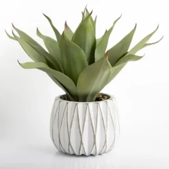 Kirkland's Home Arrangements & Greenery-Agave Succulent In White Pot