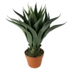 Kirkland's Home Arrangements & Greenery-Agave Succulent Plant In Terracotta Planter