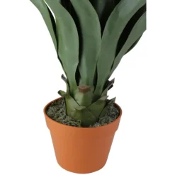 Kirkland's Home Arrangements & Greenery-Agave Succulent Plant In Terracotta Planter