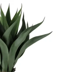 Kirkland's Home Arrangements & Greenery-Agave Succulent Plant In Terracotta Planter