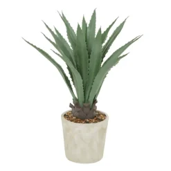 Kirkland's Home Arrangements & Greenery-Aloe Barbadensis In Pebble Planter