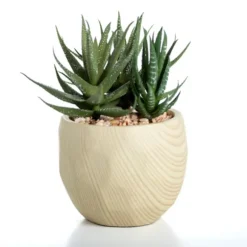 Kirkland's Home Arrangements & Greenery-Aloe Succulent Arrangement In Natural Pot