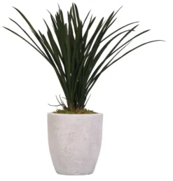 Kirkland's Home Arrangements & Greenery-Areca Grass In Mossy White Planter