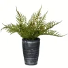 Kirkland's Home Arrangements & Greenery-Asparagus Fern In Tall Black Planter