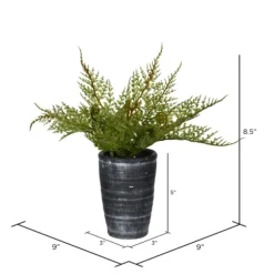 Kirkland's Home Arrangements & Greenery-Asparagus Fern In Tall Black Planter