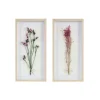 Kirkland's Home Framed Art-Avant Garden Dried Flowers Shadowboxes, Set Of 2