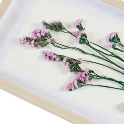 Kirkland's Home Framed Art-Avant Garden Dried Flowers Shadowboxes, Set Of 2