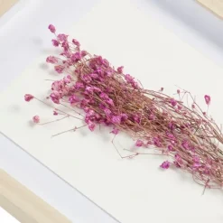 Kirkland's Home Framed Art-Avant Garden Dried Flowers Shadowboxes, Set Of 2