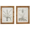 Kirkland's Home Framed Art-Black White Vintage Botanical Framed Art, Set Of 2