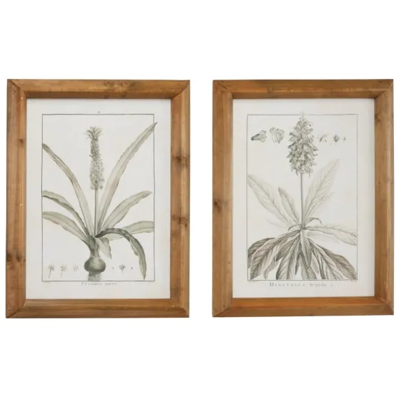 Kirkland's Home Framed Art-Black White Vintage Botanical Framed Art, Set Of 2