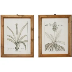 Kirkland's Home Framed Art-Black White Vintage Botanical Framed Art, Set Of 2