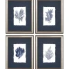 Kirkland's Home Framed Art-Coral 4-Pc. Silver Framed Art Print Set