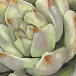 Kirkland's Home Canvas Art-Desert Garden I And Ii Canvas Art Prints, Set Of 2