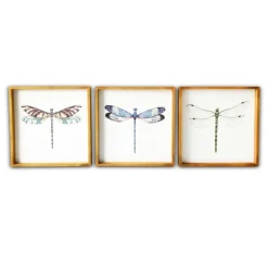 Kirkland's Home Framed Art-Dragonfly Framed Art Prints, Set Of 3