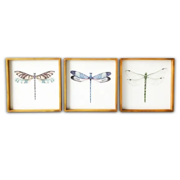 Kirkland's Home Framed Art-Dragonfly Framed Art Prints, Set Of 3