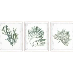 Kirkland's Home Framed Art-Emerald Coral I 3-Pc. Framed Art Print Set