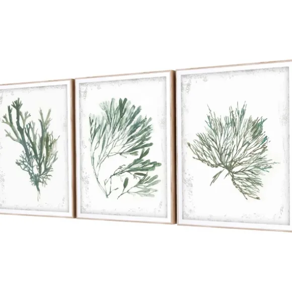 Kirkland's Home Framed Art-Emerald Coral I 3-Pc. Framed Art Print Set