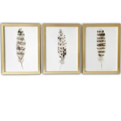 Kirkland's Home Framed Art-Feathers Framed Art Prints, Set Of 3