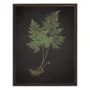 Kirkland's Home Framed Art-Fern Bookplate Vii Framed Art Print