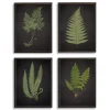 Kirkland's Home Framed Art-Fern Framed Art Prints, Set Of 4