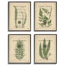 Kirkland's Home Framed Art-Fern Illustrations Framed Art Prints, Set Of 4