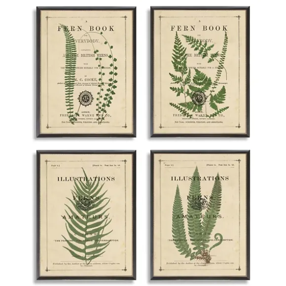 Kirkland's Home Framed Art-Fern Illustrations Framed Art Prints, Set Of 4