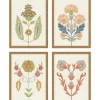 Kirkland's Home Framed Art-Flourish Framed Art Prints, Set Of 4