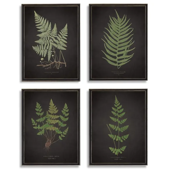 Kirkland's Home Framed Art-Four Ferns Framed Art Prints, Set Of 4