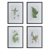 Kirkland's Home Framed Art-Framed Fern Art Prints, Set Of 4