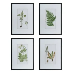 Kirkland's Home Framed Art-Framed Fern Art Prints, Set Of 4