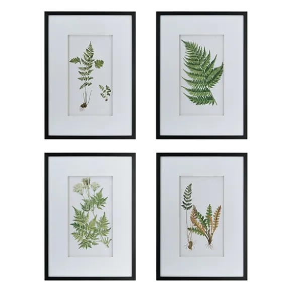 Kirkland's Home Framed Art-Framed Fern Art Prints, Set Of 4