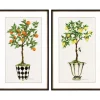 Kirkland's Home Framed Art-Fruit Topiary Giclee Black Framed Prints, Set Of 2