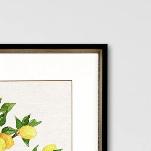 Kirkland's Home Framed Art-Fruit Topiary Giclee Black Framed Prints, Set Of 2
