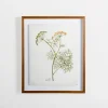 Kirkland's Home Framed Art-Golden Leaves Herbs Dill Framed Art Print
