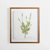 Kirkland's Home Framed Art-Golden Leaves Herbs Lavender Framed Art Print