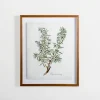 Kirkland's Home Framed Art-Golden Leaves Herbs Rosemary Framed Art Print