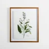 Kirkland's Home Framed Art-Golden Leaves Herbs Sage Framed Art Print