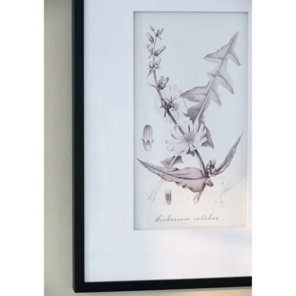 Kirkland's Home Framed Art-Gray And Cream Foliage 4-Pc. Framed Wall Art Set