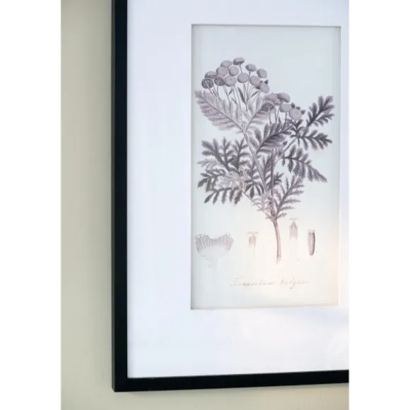 Kirkland's Home Framed Art-Gray And Cream Foliage 4-Pc. Framed Wall Art Set