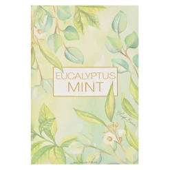 Kirkland's Home Sachets-Green Eucalyptus Mint Sachet