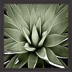 Kirkland's Home Framed Art-Green Succulent Iii Framed Canvas Art