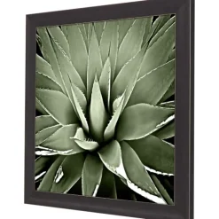 Kirkland's Home Framed Art-Green Succulent Iii Framed Canvas Art