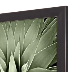 Kirkland's Home Framed Art-Green Succulent Iii Framed Canvas Art