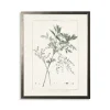 Kirkland's Home Framed Art-Greenery Botanical Iv Pewter Framed Art Print
