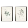 Kirkland's Home Framed Art-Greenery Botanicals I Framed Art Prints, Set Of 2