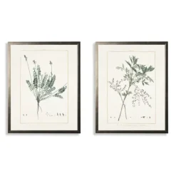 Kirkland's Home Framed Art-Greenery Botanicals I Framed Art Prints, Set Of 2
