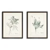 Kirkland's Home Framed Art-Greenery I Framed Art Prints, Set Of 2
